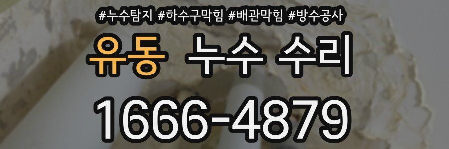 유동 누수 수리