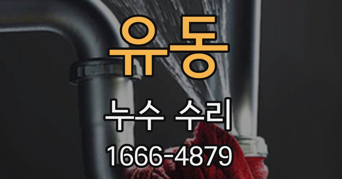 유동 누수 수리