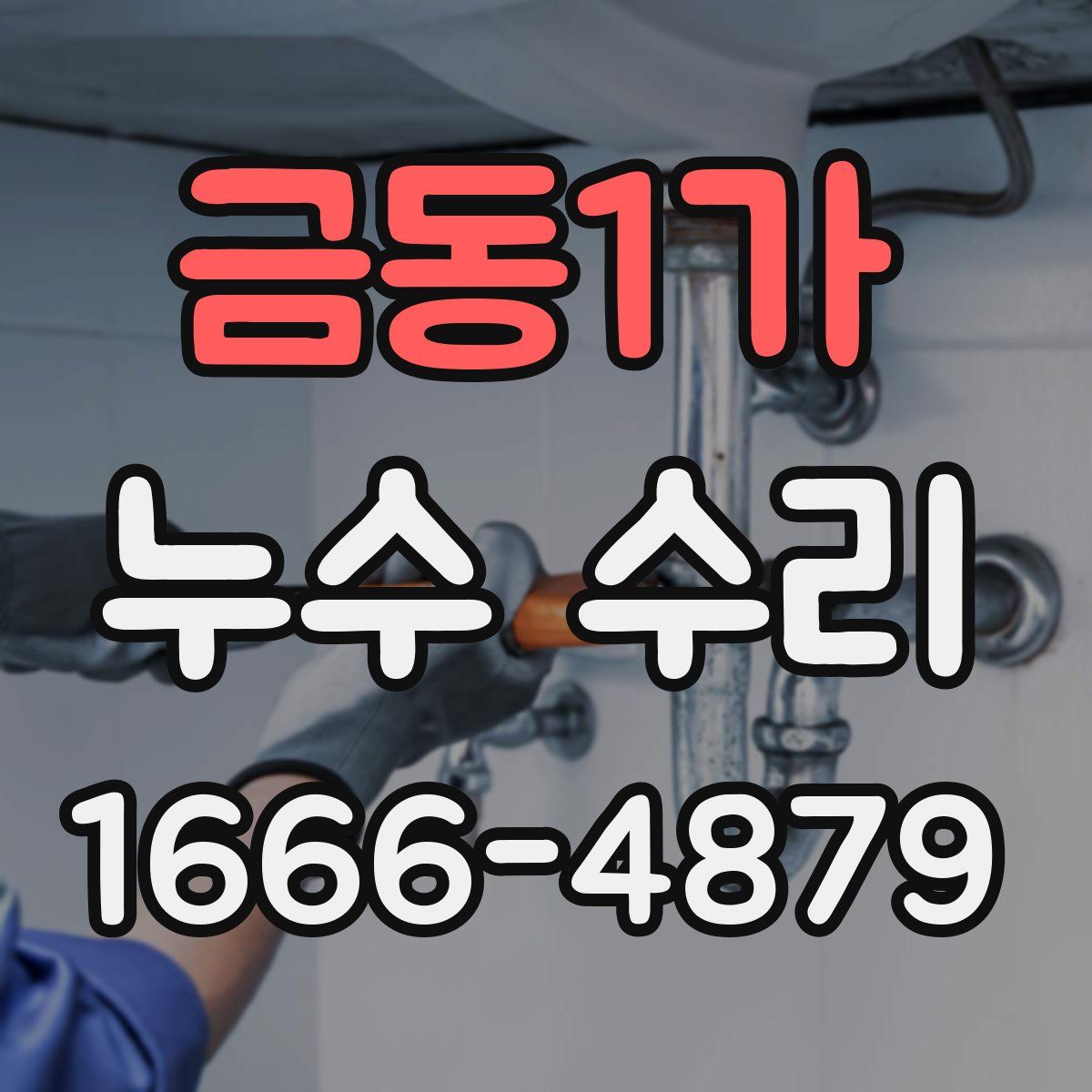금동1가 누수 수리