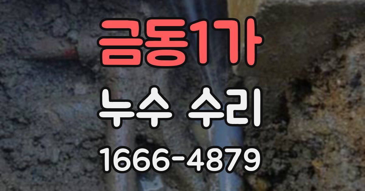 금동1가 누수 수리