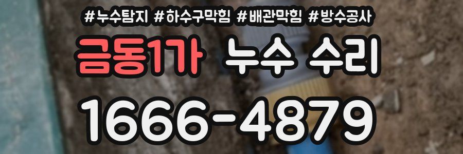 금동1가 누수 수리