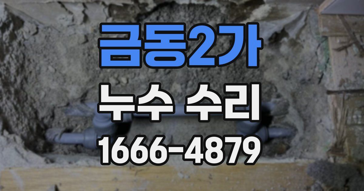 금동2가 누수 수리