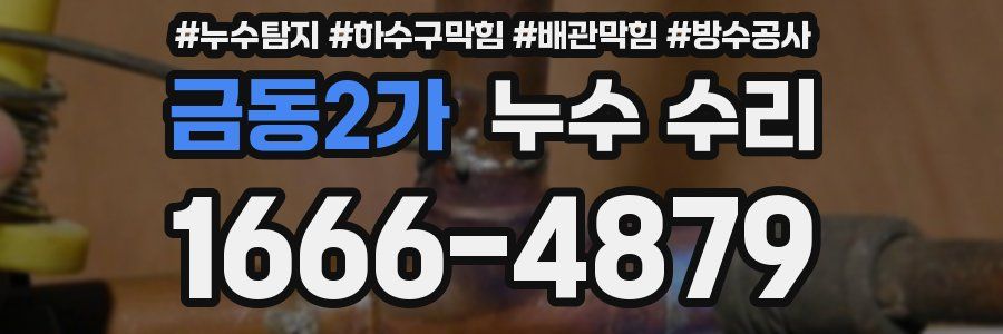 금동2가 누수 수리