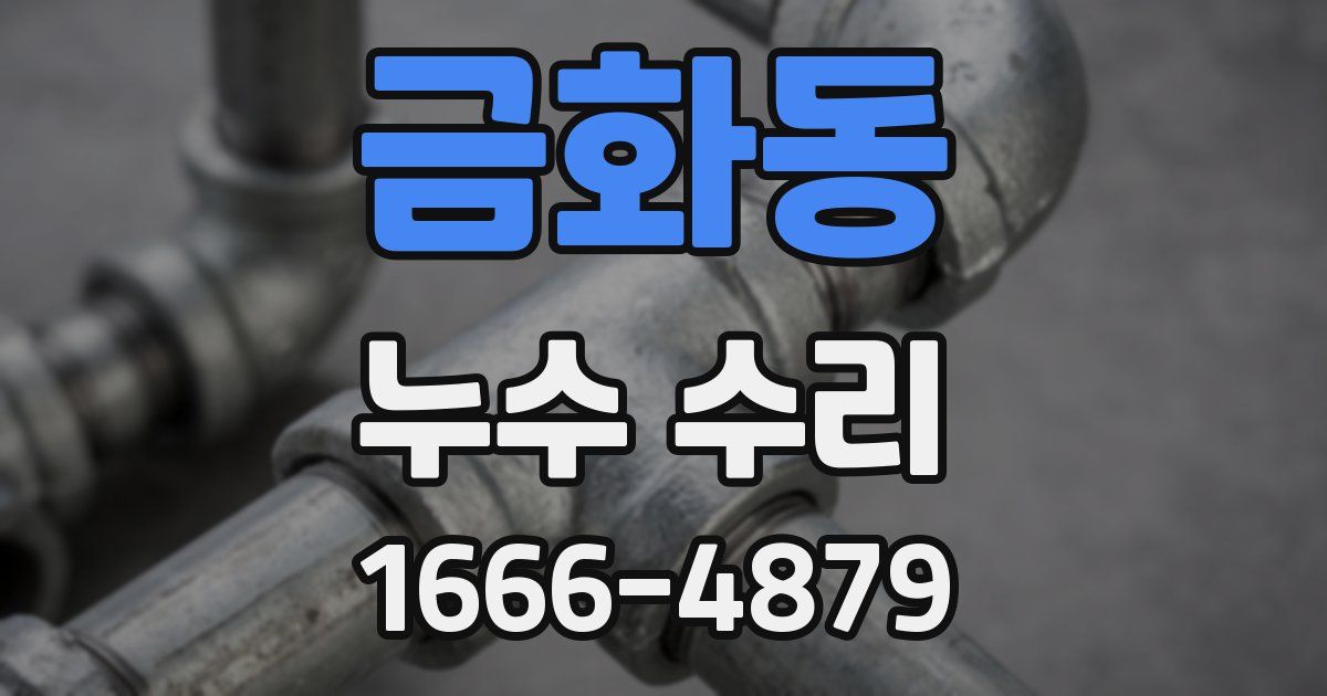 금화동 누수 수리