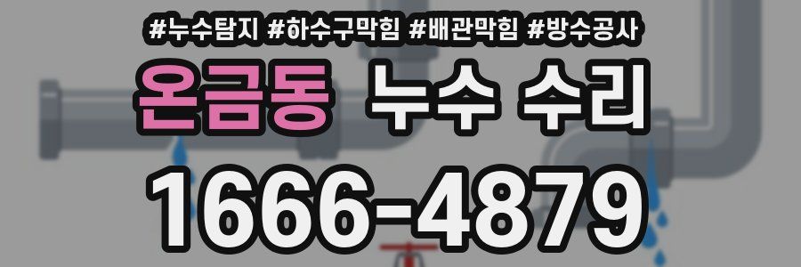 온금동 누수 수리