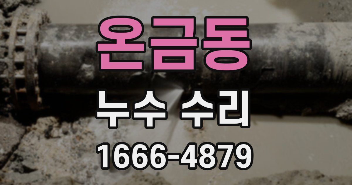 온금동 누수 수리