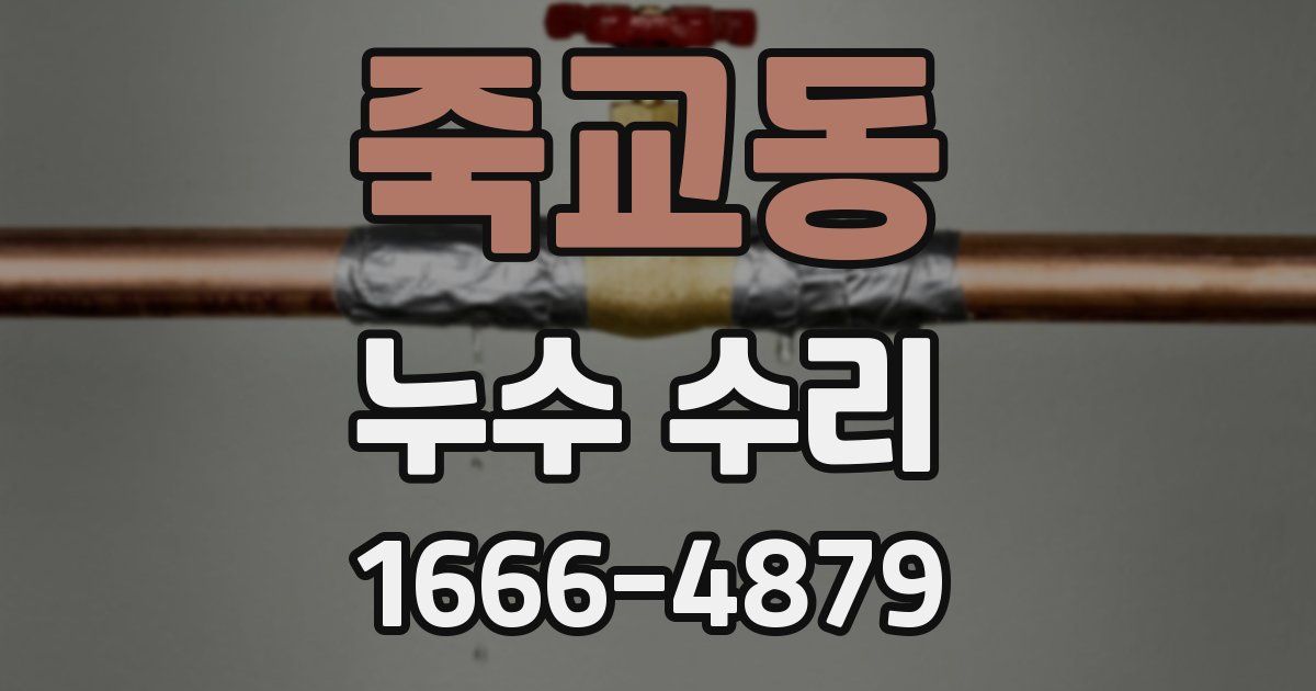 죽교동 누수 수리