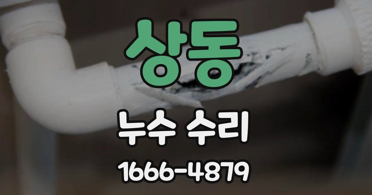 상동 누수 수리