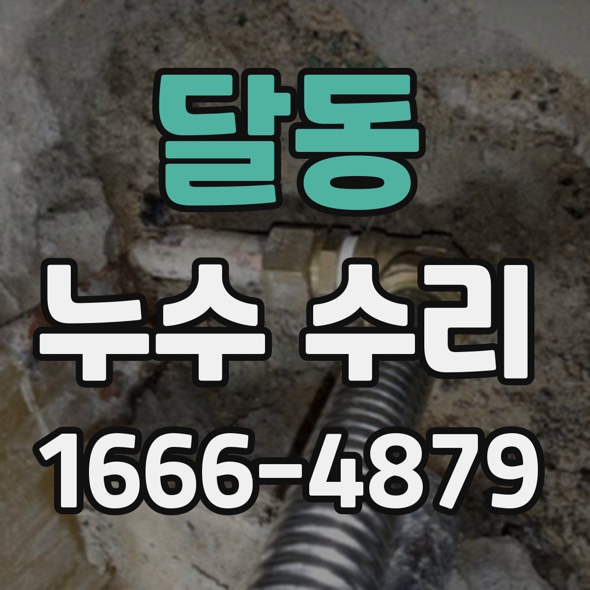 달동 누수 수리