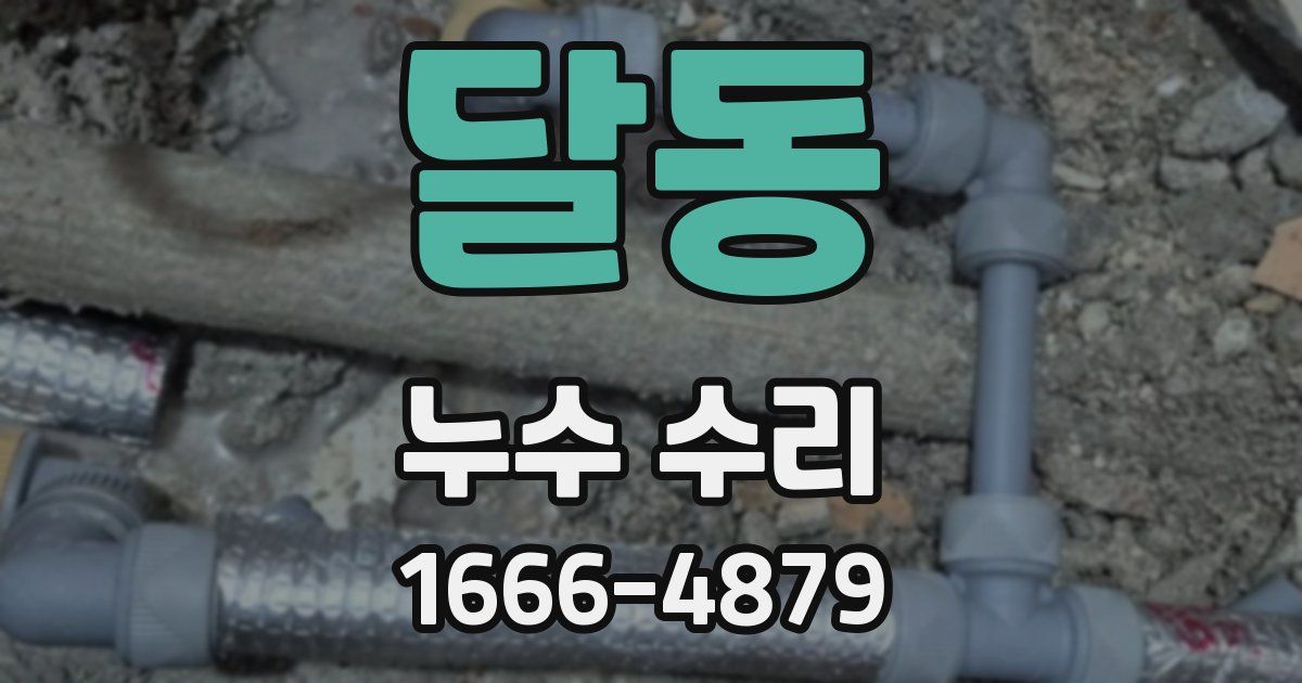 달동 누수 수리