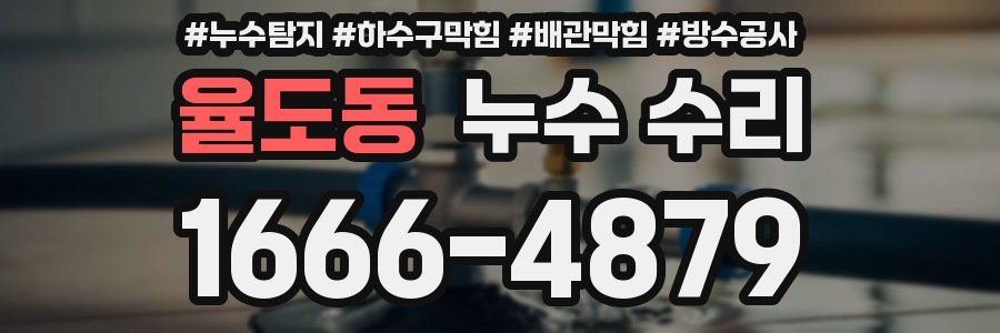 율도동 누수 수리