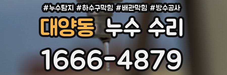 대양동 누수 수리