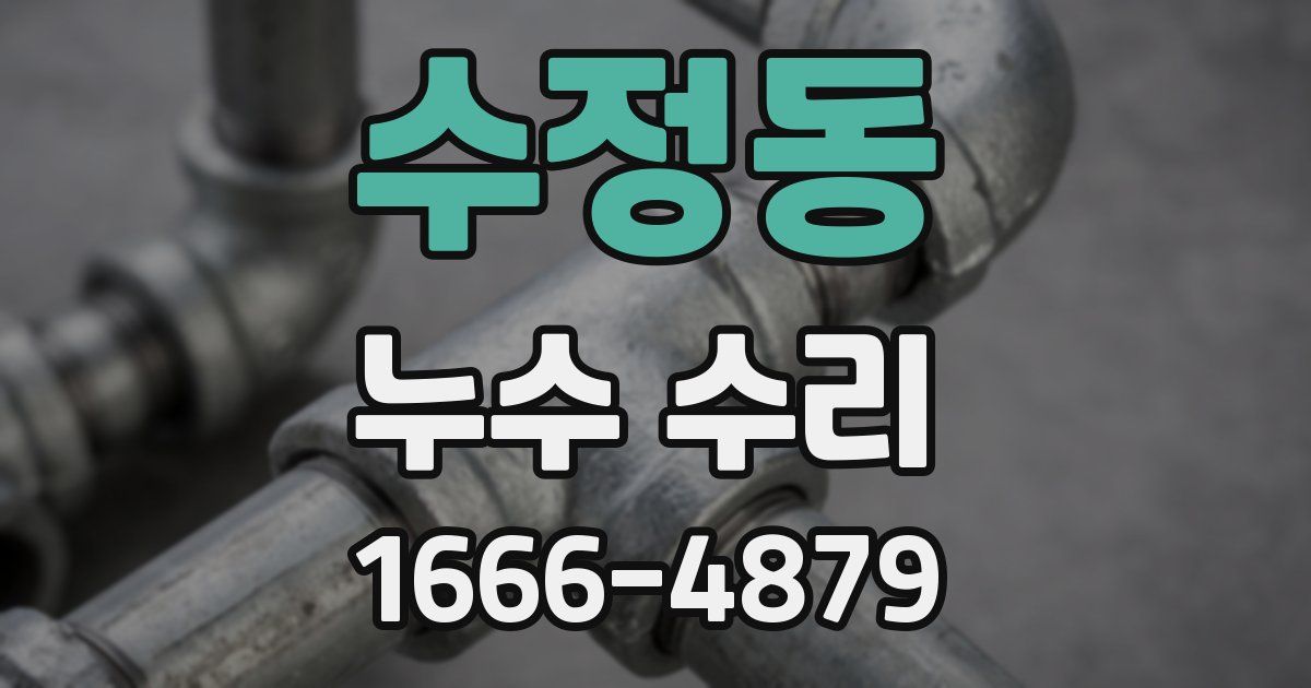 수정동 누수 수리