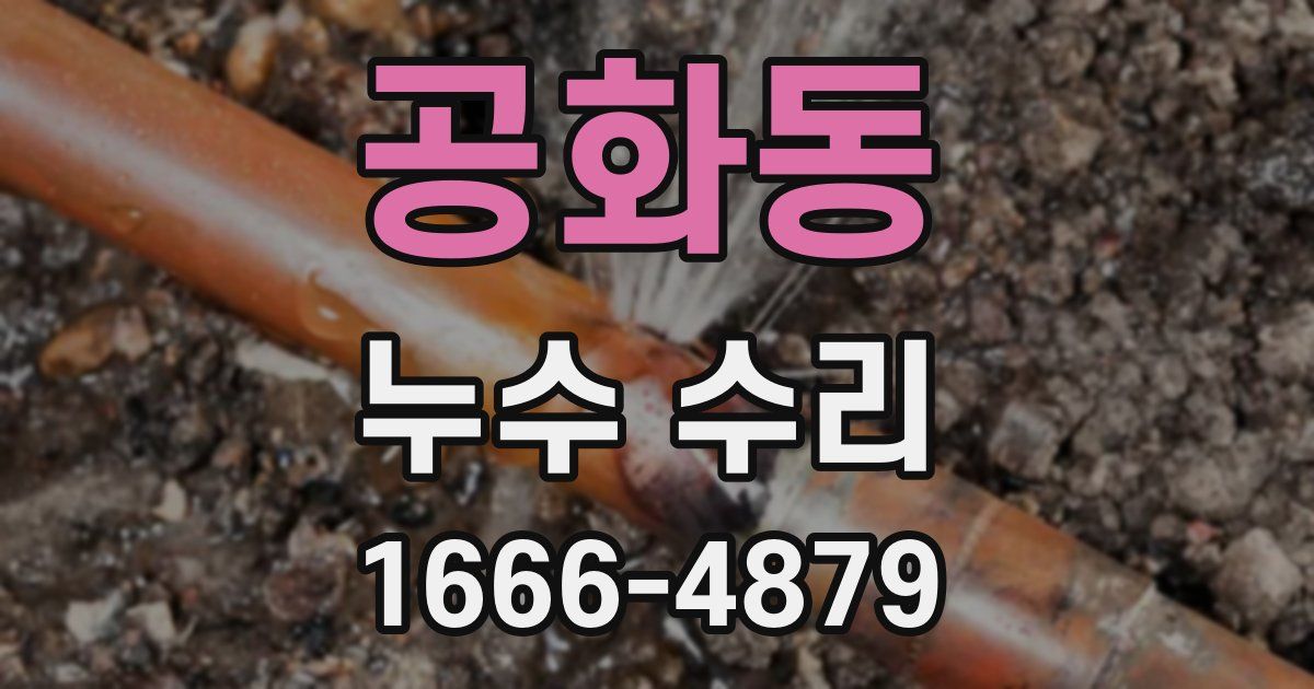 공화동 누수 수리