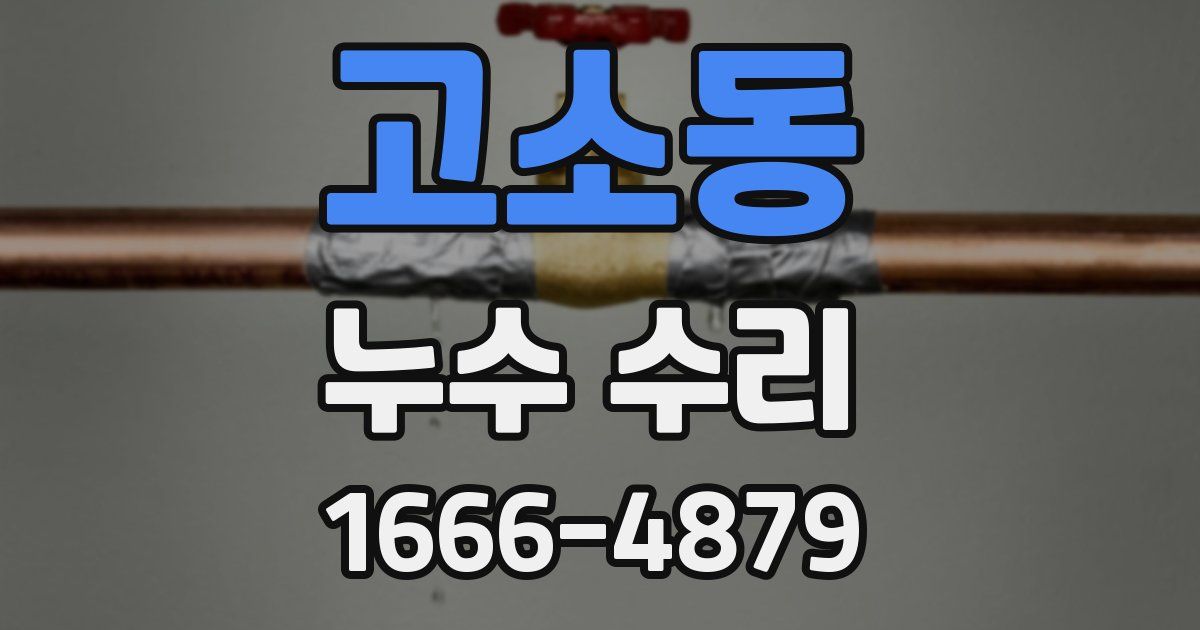 고소동 누수 수리