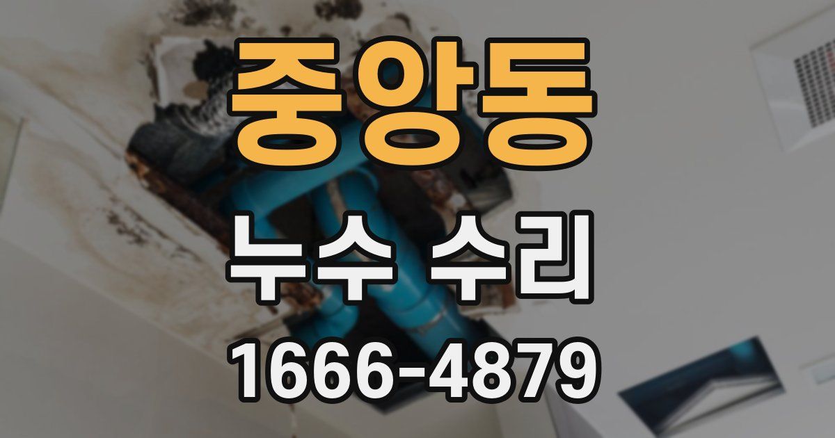 중앙동 누수 수리