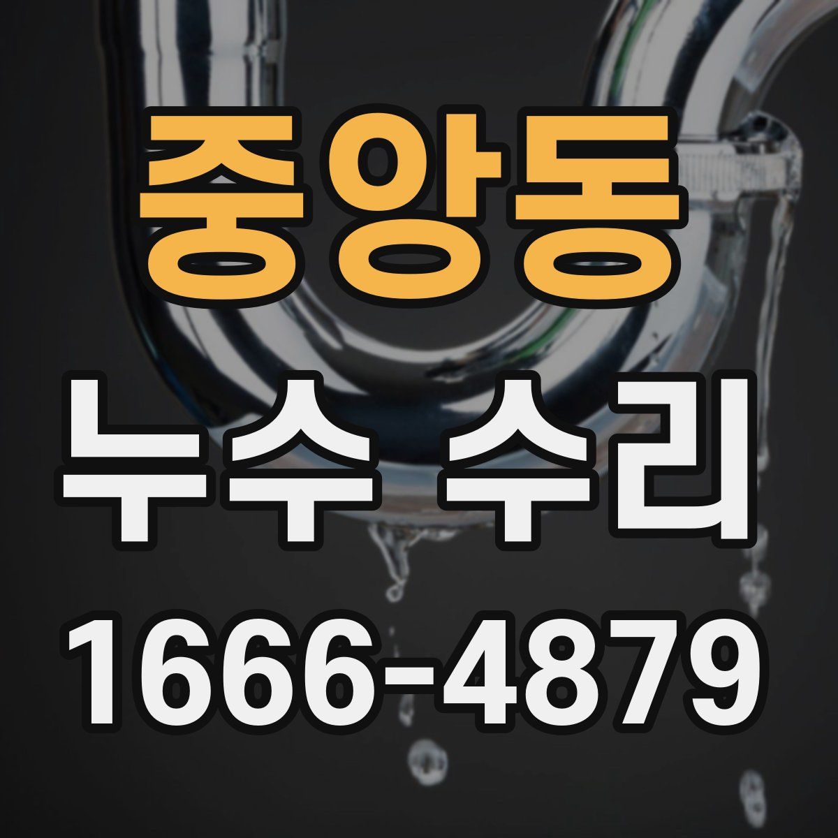 중앙동 누수 수리