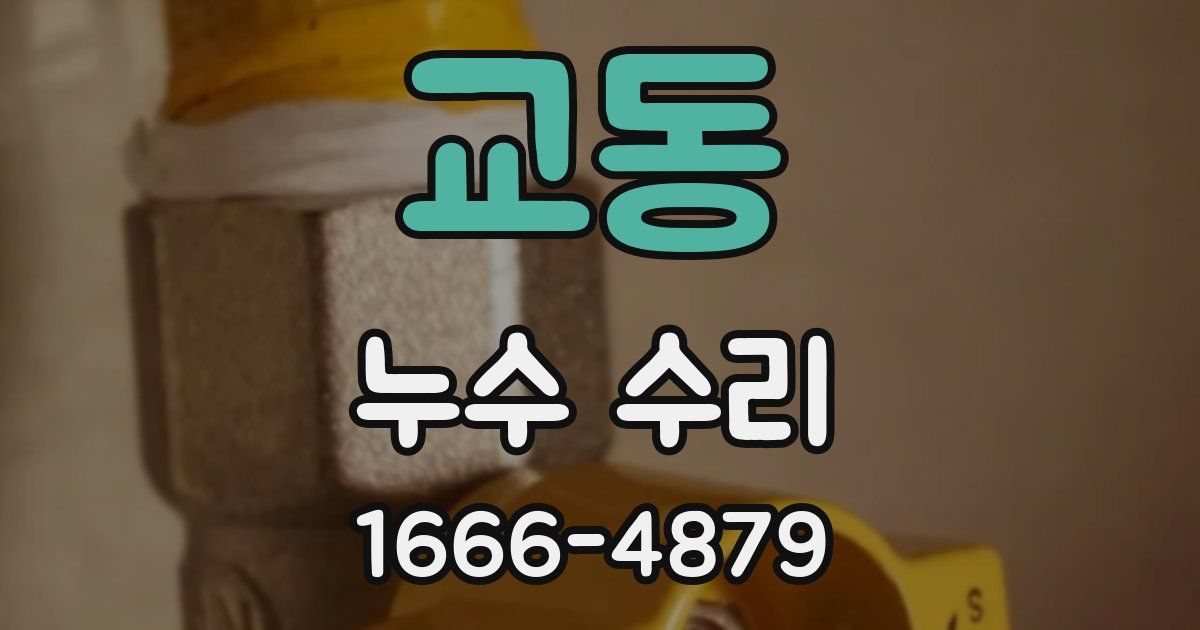 교동 누수 수리
