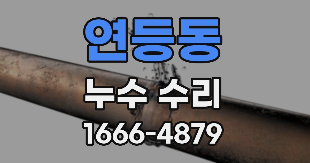 연등동 누수 수리