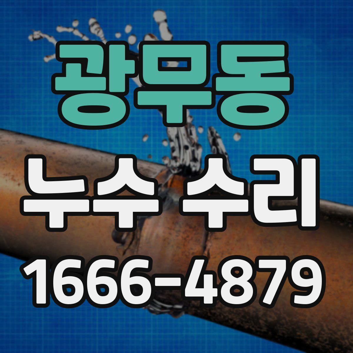 광무동 누수 수리