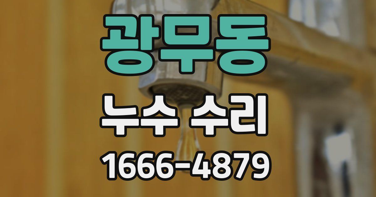 광무동 누수 수리