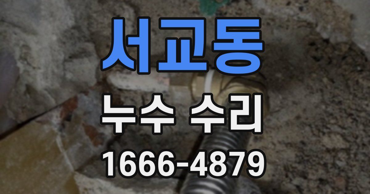 서교동 누수 수리