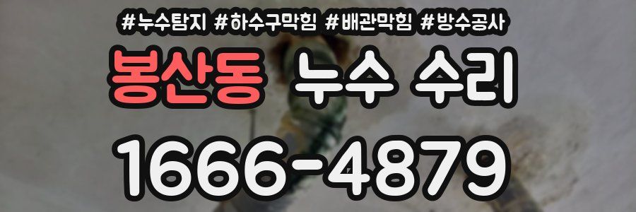 봉산동 누수 수리