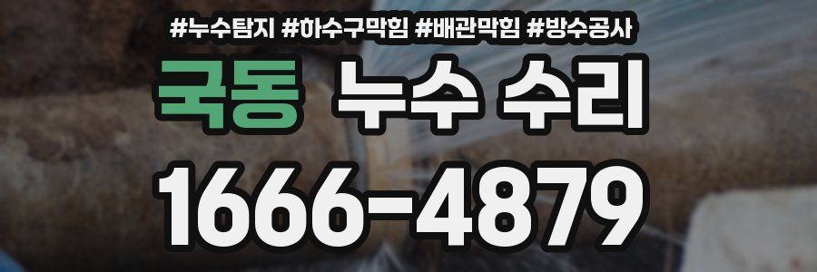국동 누수 수리