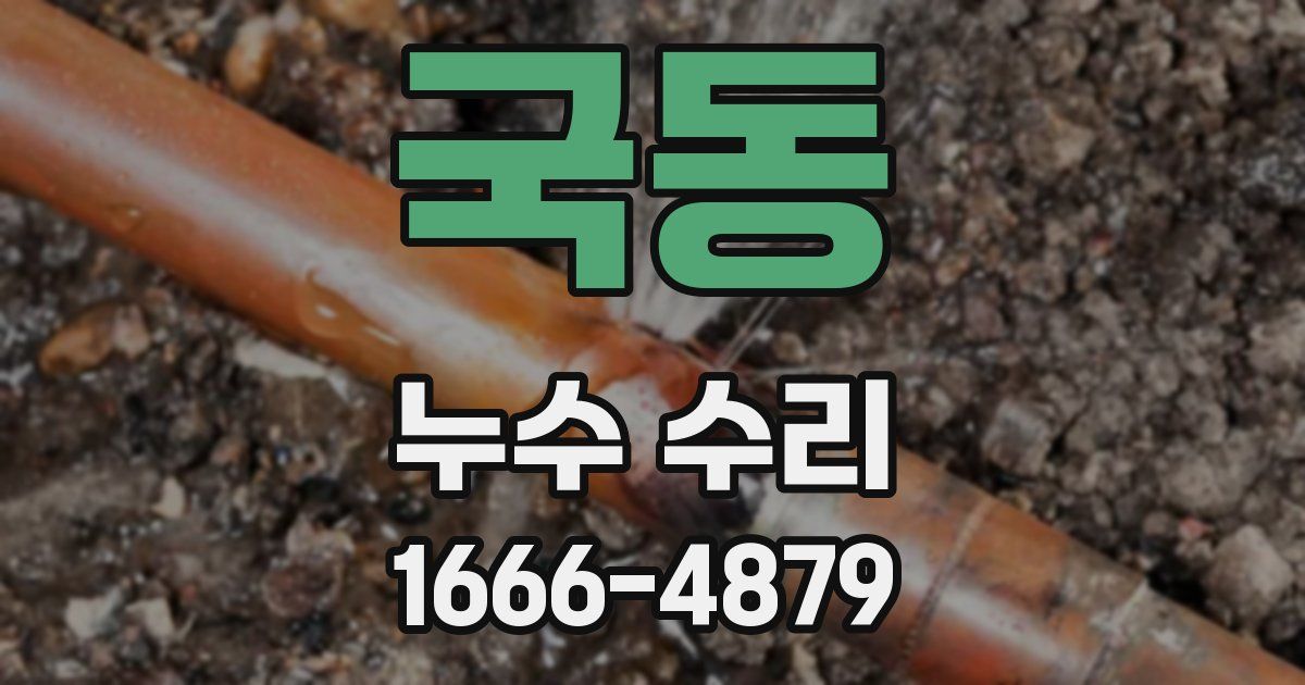 국동 누수 수리