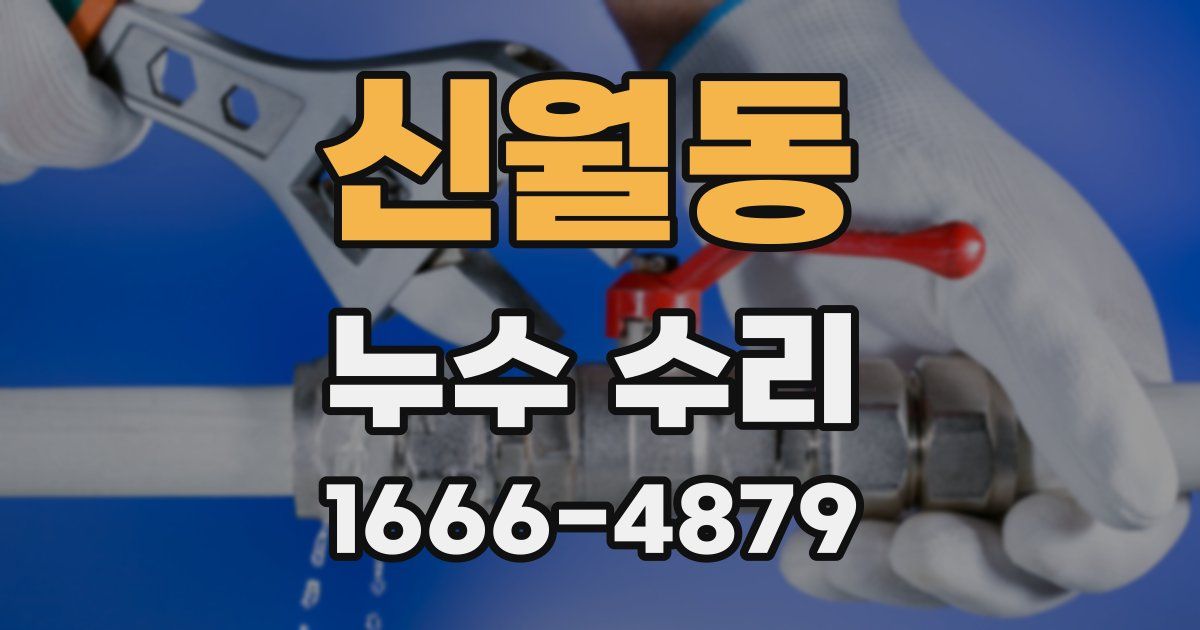 신월동 누수 수리