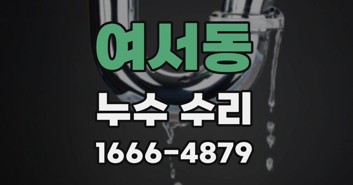 여서동 누수 수리