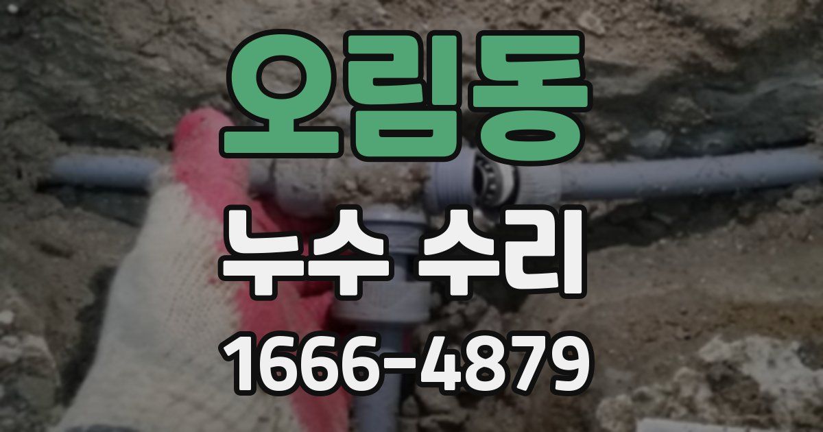 오림동 누수 수리
