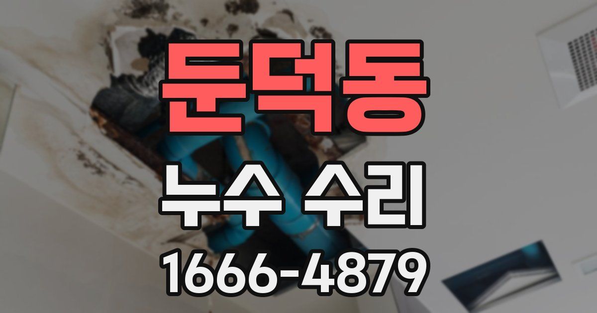 둔덕동 누수 수리