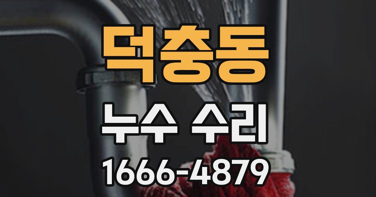 덕충동 누수 수리