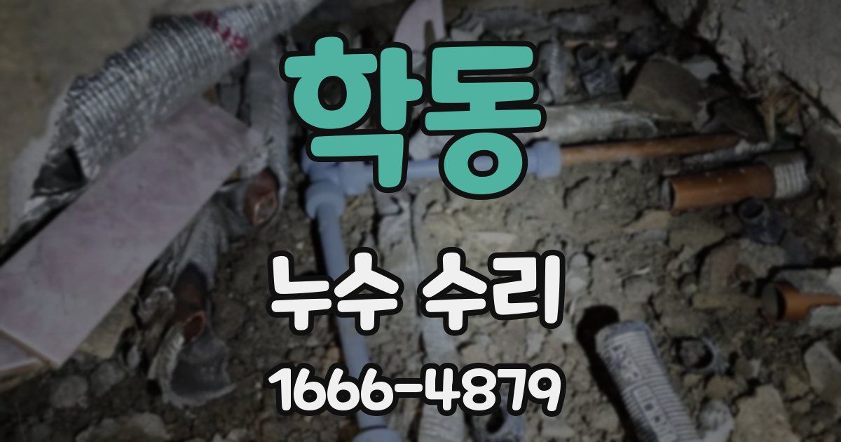 학동 누수 수리