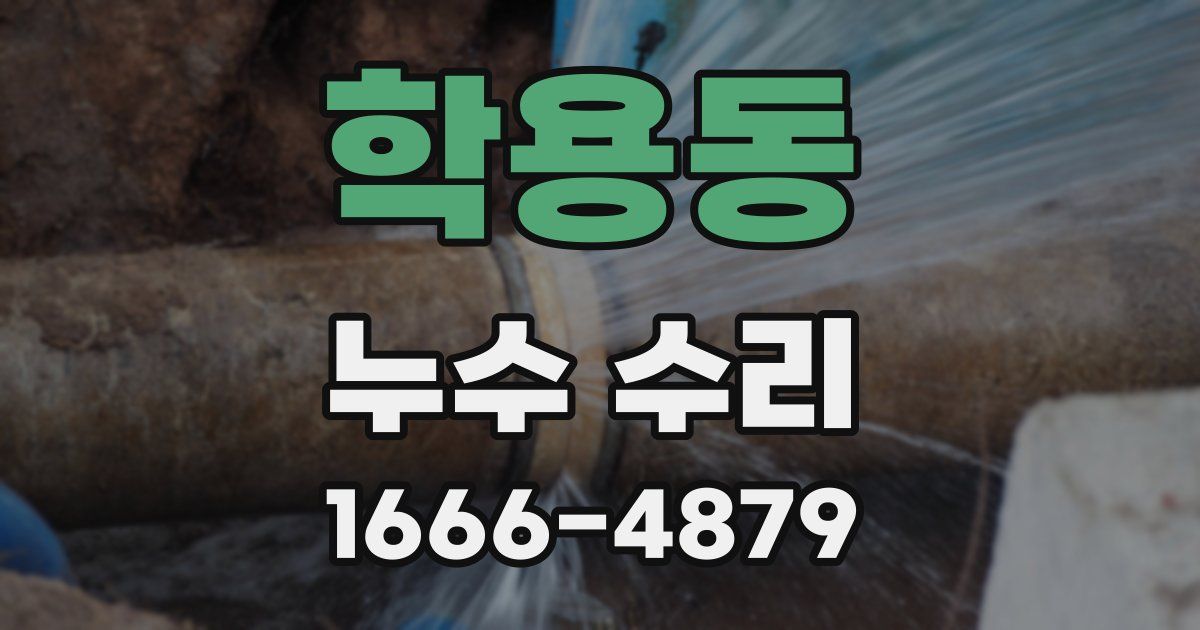 학용동 누수 수리