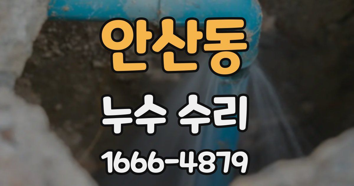 안산동 누수 수리