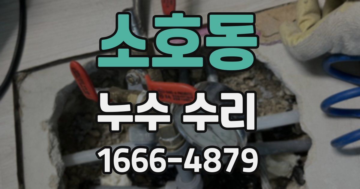 소호동 누수 수리