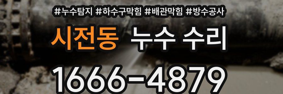 시전동 누수 수리