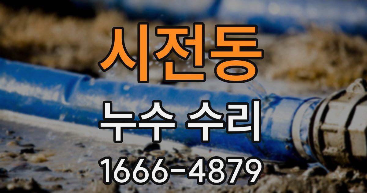 시전동 누수 수리