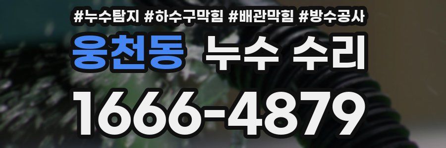 웅천동 누수 수리
