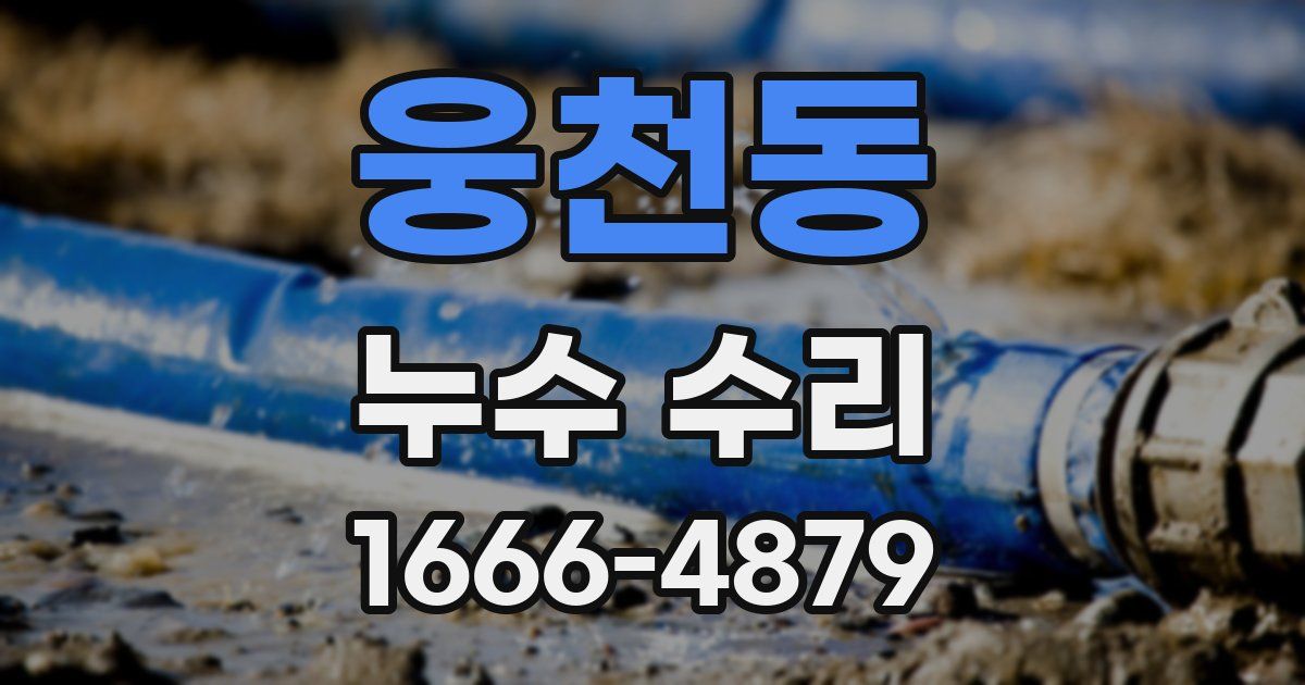 웅천동 누수 수리