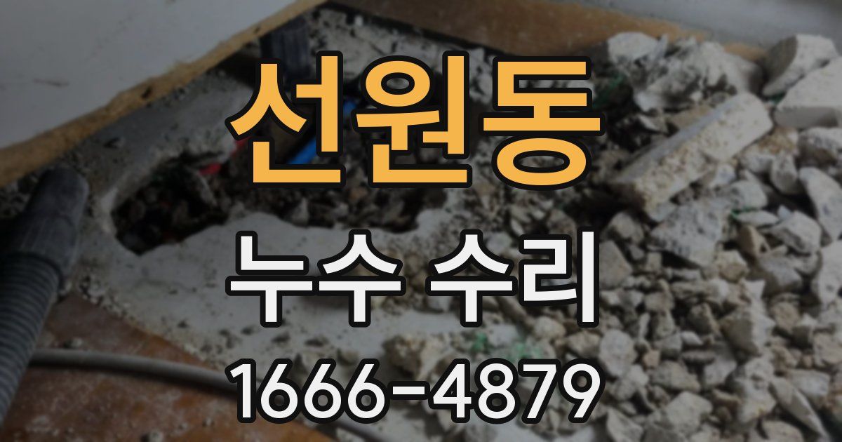 선원동 누수 수리
