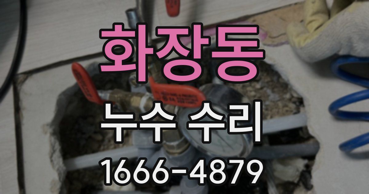 화장동 누수 수리