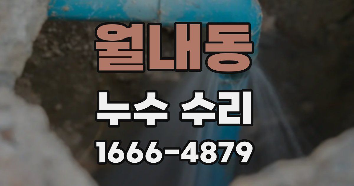 월내동 누수 수리