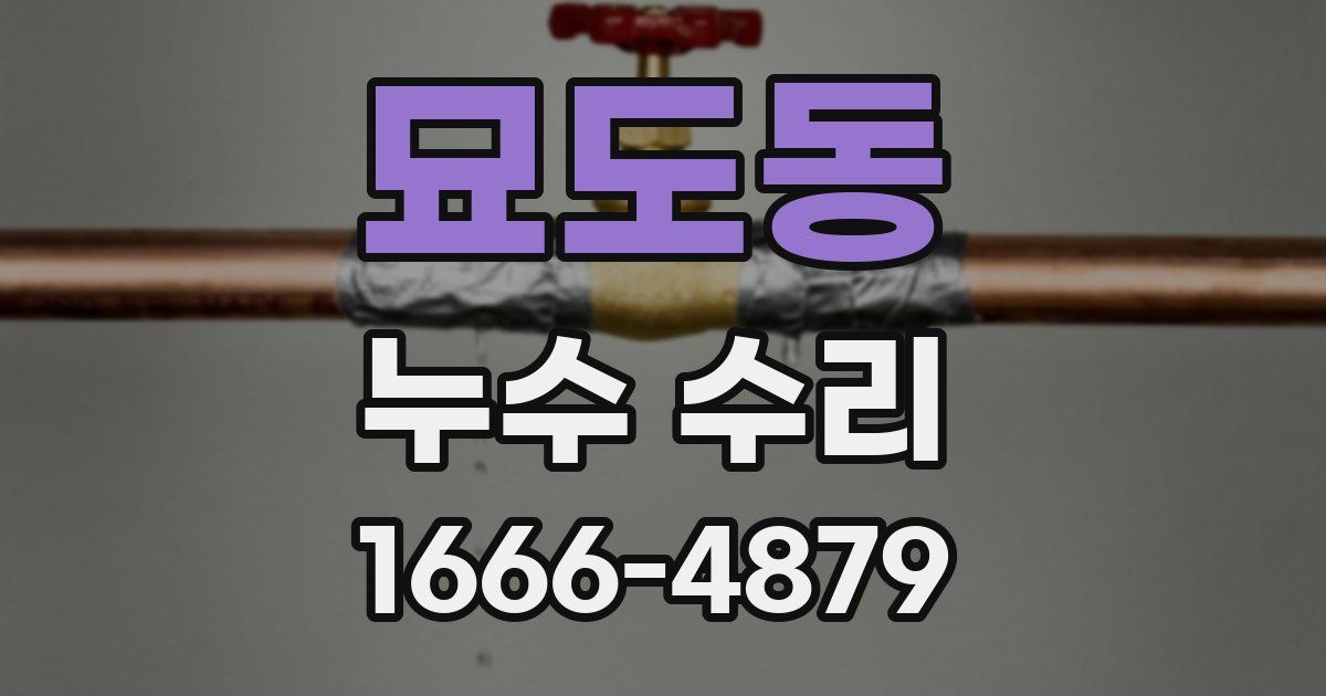묘도동 누수 수리