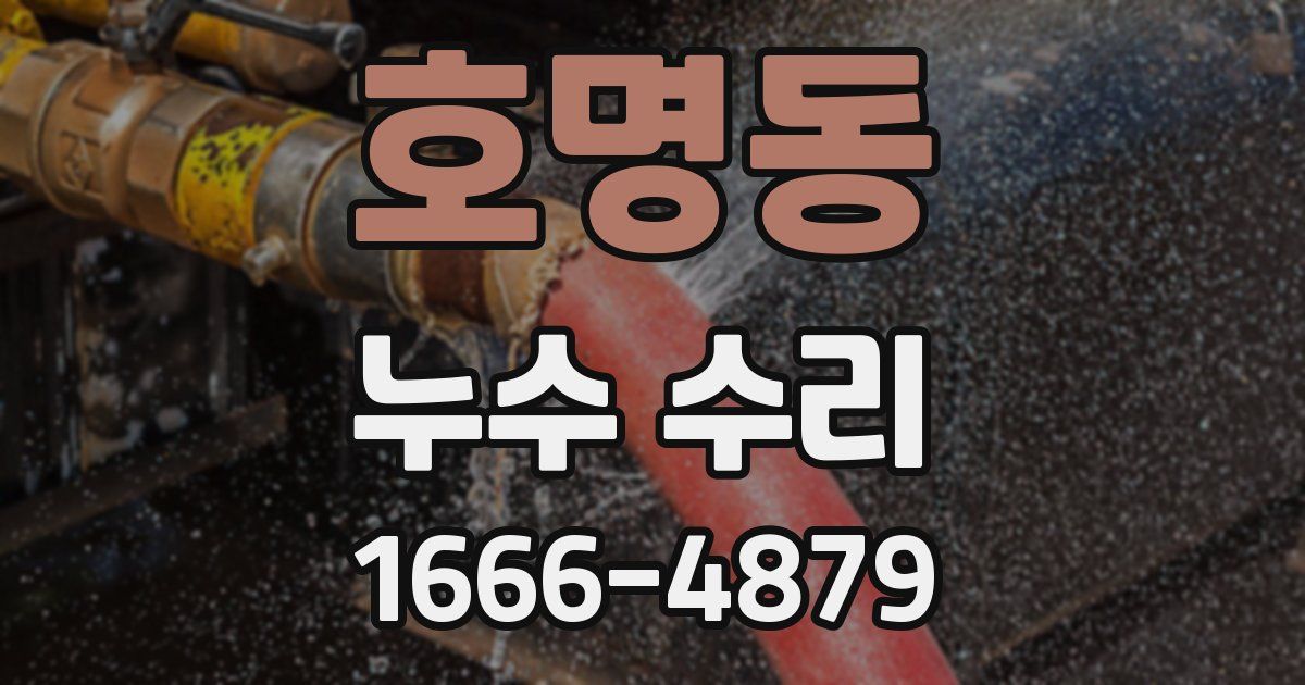호명동 누수 수리