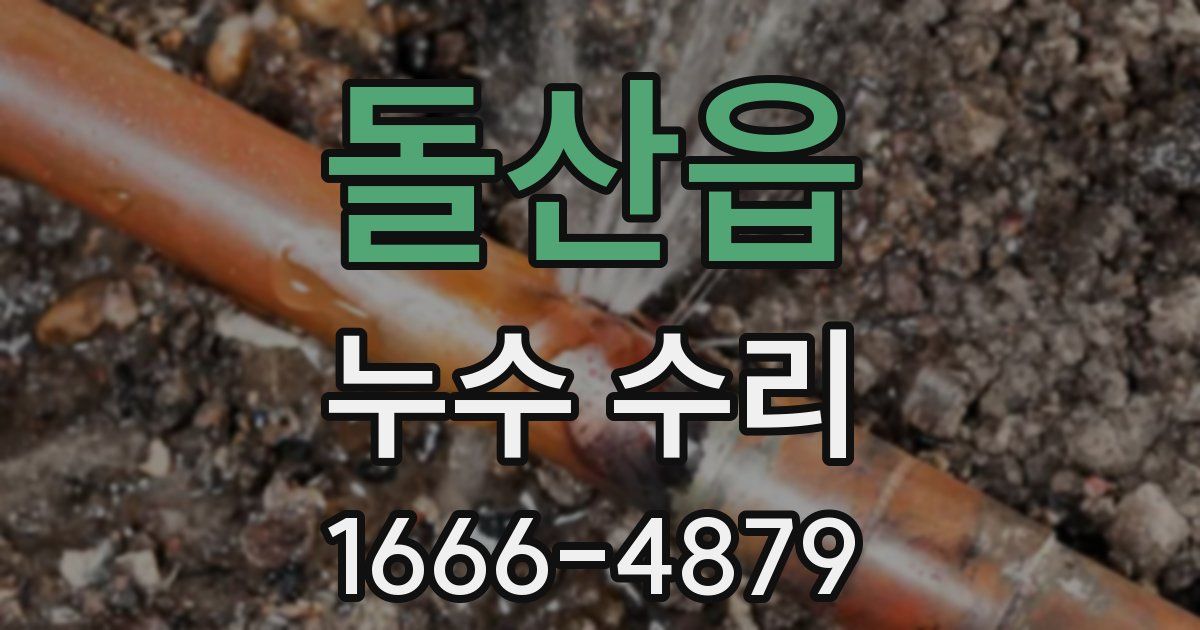 돌산읍 누수 수리