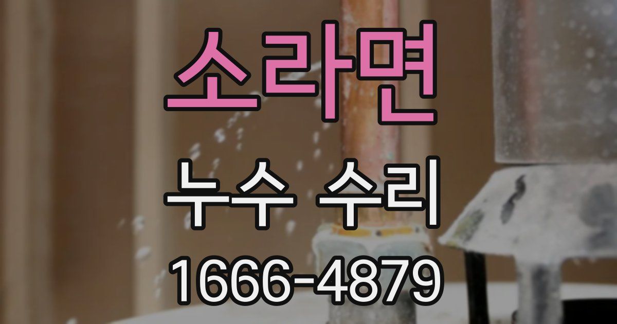 소라면 누수 수리