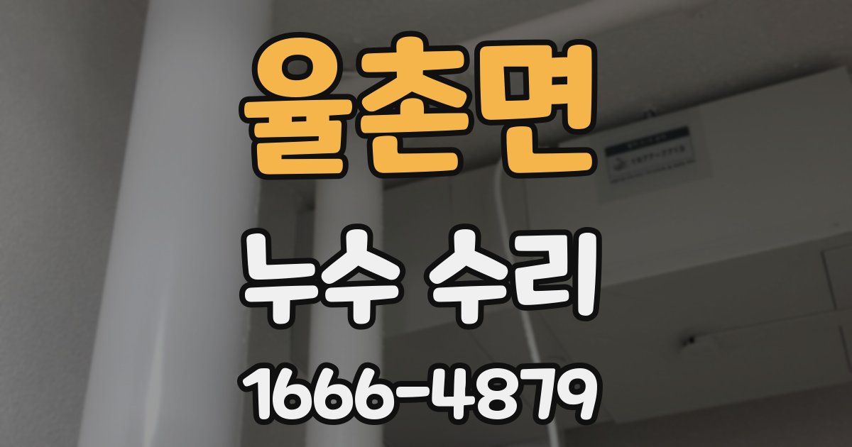 율촌면 누수 수리
